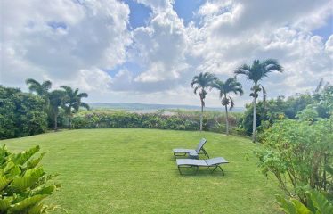 Countryside, St. Thomas, Barbados
