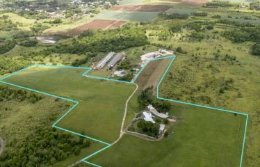 Belle Farm Lots 1A & 2A, St. John, Barbados