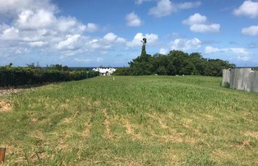 Lot 1-4, Laynes Road, St. James, Barbados