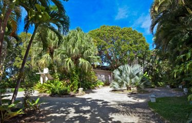 In The Trees, Sion Hill, Turtle Back Ridge, St. James, Barbados