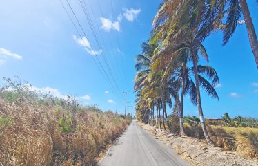 Little Grove, St. Philip, Barbados