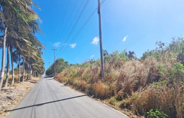 Little Grove, St. Philip, Barbados