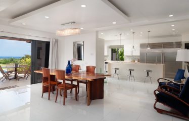 Sheada J50, Apes Hill Resort, St. James, Barbados