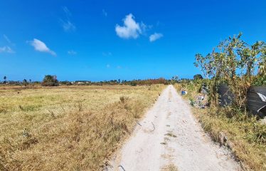 Little Grove, St. Philip, Barbados