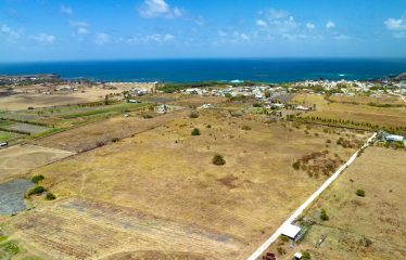Little Grove, St. Philip, Barbados