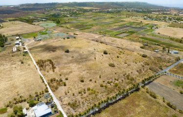 Little Grove, St. Philip, Barbados