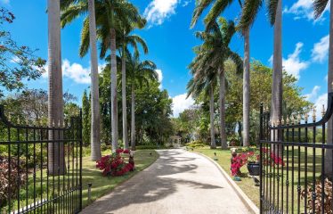 Coral Sundown, Sugar Hill Resort, St. James, Barbados