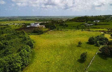 Lot C1 & C2 Hill View, St. Philip, Barbados
