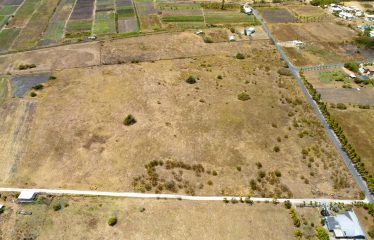 Little Grove, St. Philip, Barbados
