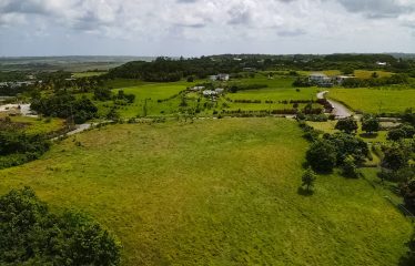 Lot C1 & C2 Hill View, St. Philip, Barbados