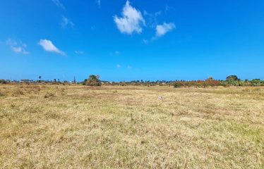Little Grove, St. Philip, Barbados