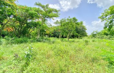 Two Mill Hill, Newlands, St. Michael, Barbados