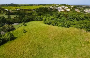 Lot C1 & C2 Hill View, St. Philip, Barbados