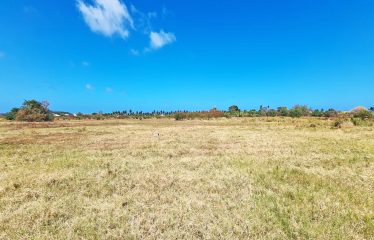 Little Grove, St. Philip, Barbados