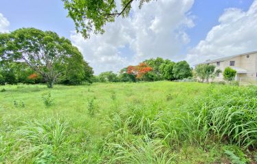 Two Mill Hill, Newlands, St. Michael, Barbados