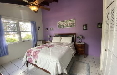 Lot 1 Atlantic View, Gemswick, St. Philip, Barbados