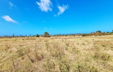 Little Grove, St. Philip, Barbados