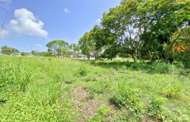 Two Mill Hill, Newlands, St. Michael, Barbados