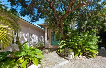 In The Trees, Sion Hill, Turtle Back Ridge, St. James, Barbados