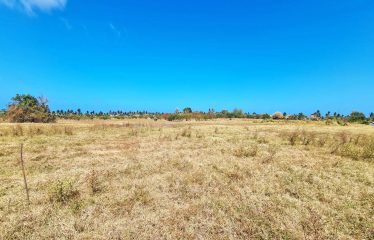 Little Grove, St. Philip, Barbados