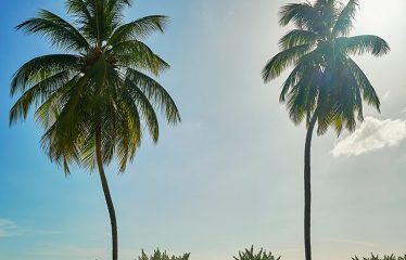 Emerald Chateau, St. Peter, Barbados