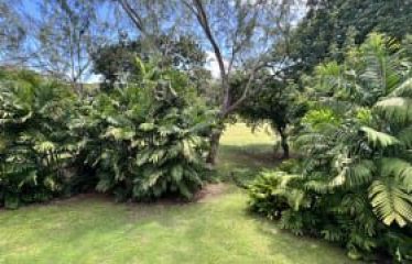 Rockley Resort, Orange Hill 802, Christ Church, Barbados