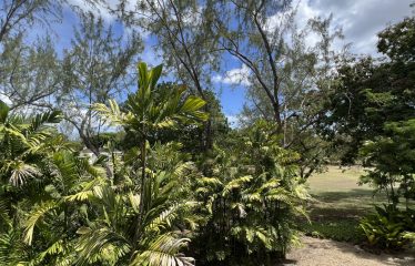 Rockley Resort, Orange Hill 802, Christ Church, Barbados