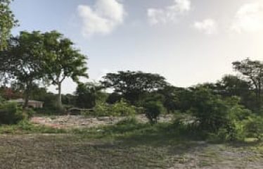Kingston Lot, Welches, St. Michael, Barbados