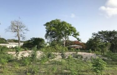 Kingston Lot, Welches, St. Michael, Barbados