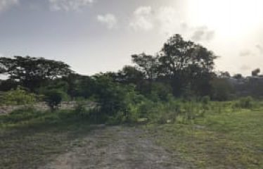 Kingston Lot, Welches, St. Michael, Barbados