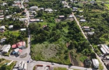 Stewart Hill, St. John, Barbados