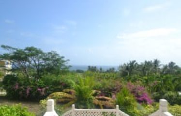 Fortress Farms, Quintyne Lot 2, St. John, Barbados