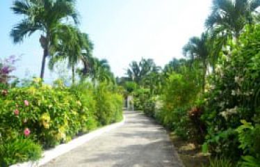 Fortress Farms, Quintyne Lot 2, St. John, Barbados