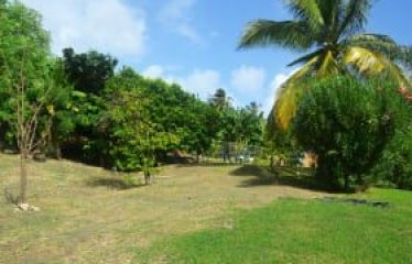 Fortress Farms, Quintyne Lot 2, St. John, Barbados
