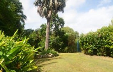 Fortress Farms, Quintyne Lot 2, St. John, Barbados