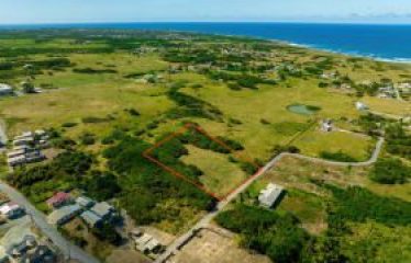 Lowlands, St. Lucy, Barbados