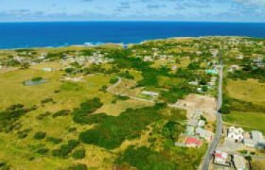Lowlands, St. Lucy, Barbados