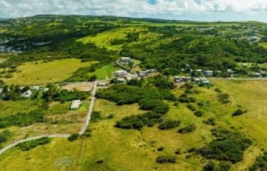Lowlands, St. Lucy, Barbados
