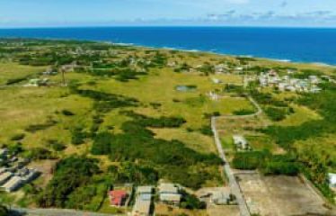 Lowlands, St. Lucy, Barbados