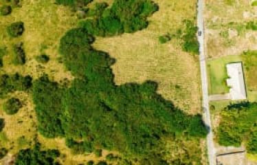 Lowlands, St. Lucy, Barbados