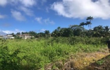 Stewart Hill, St. John, Barbados