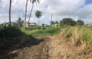 Stewart Hill, St. John, Barbados