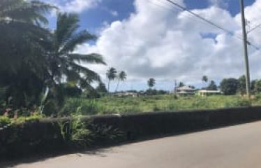 Stewart Hill, St. John, Barbados