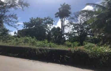 Stewart Hill, St. John, Barbados