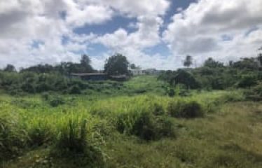 Stewart Hill, St. John, Barbados