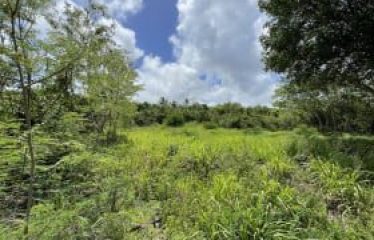 Lot 2C, Fox Club Road, St. James, Barbados