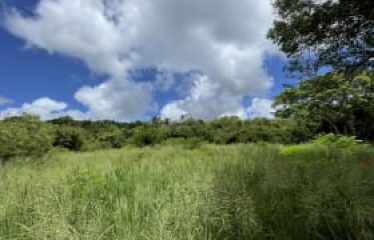 Lot 2C, Fox Club Road, St. James, Barbados
