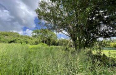 Lot 2C, Fox Club Road, St. James, Barbados