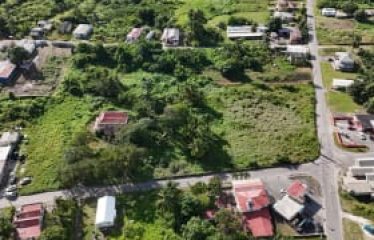 Stewart Hill, St. John, Barbados