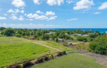 Laynes Road, Paynes Bay, St. James, Barbados